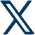 X (Twitter)